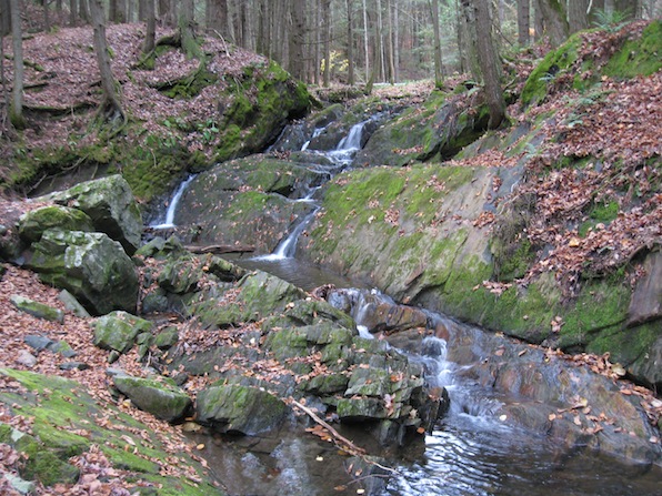 TREVOR A Cascade of Waterfalls