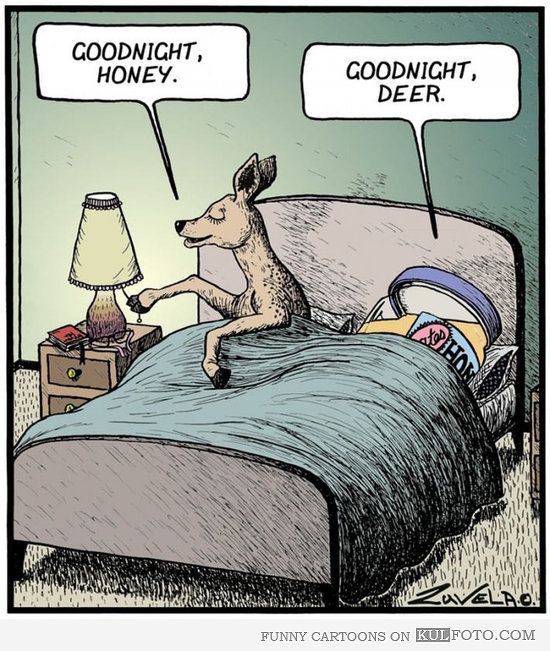 funny good night cartoons